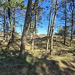 5 Person In Romo * Toftum (Syddanmark)