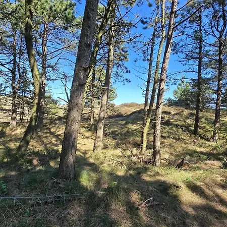 5 Person In Romo * Toftum (Syddanmark)