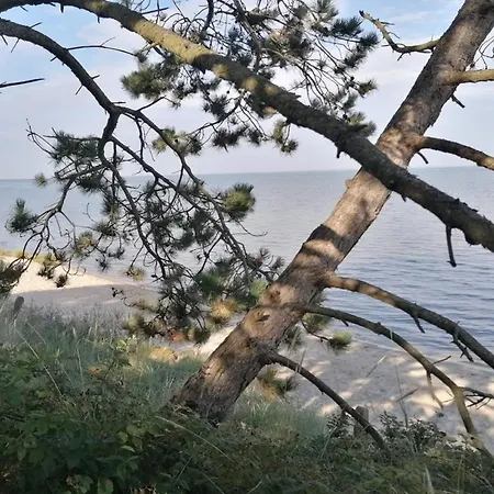 5 Person Holiday Home In Romo